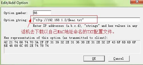 添加新的 DHCP option